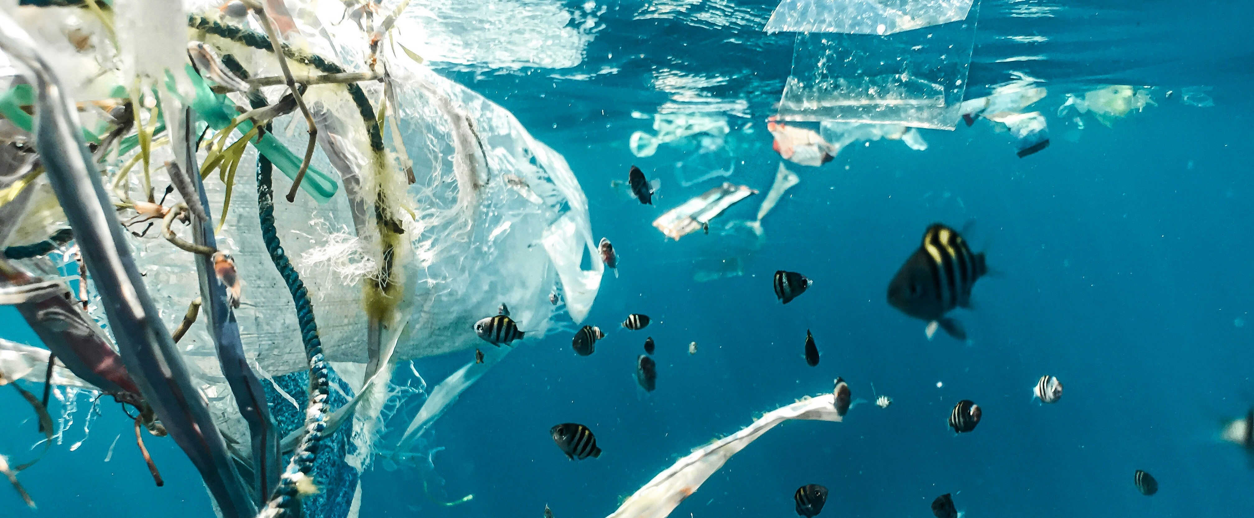 PSI Plastic Pollution: Understanding the Problem and Empowering Change image